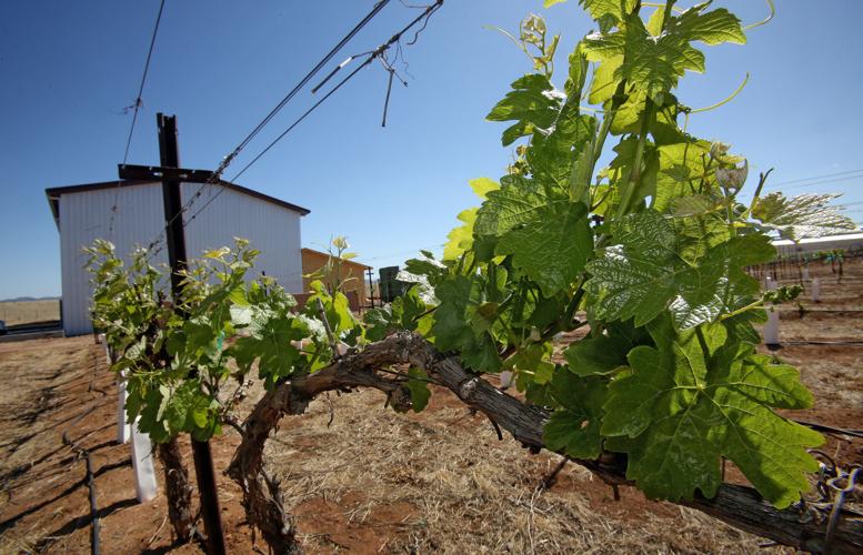 Flying Leap Vineyards