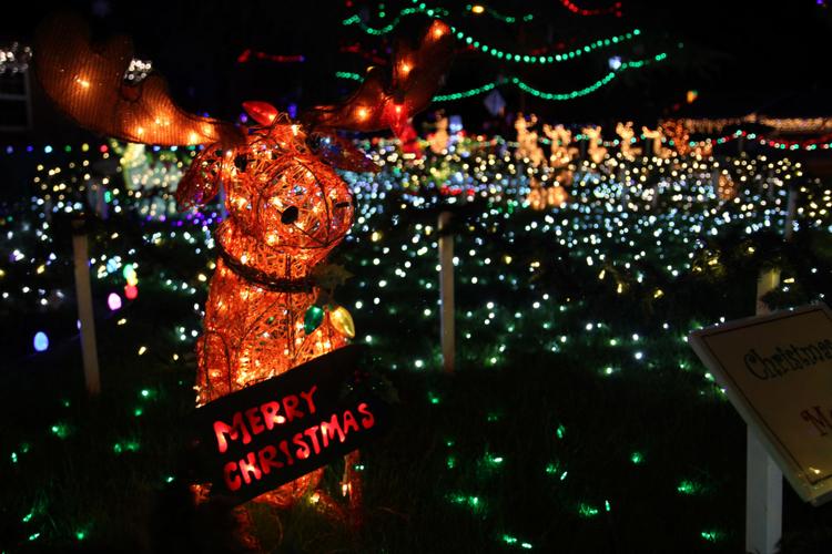 65th Annual Winterhaven Festival of Lights