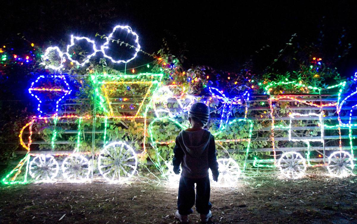 Photos Reid Park's Zoo Lights 2015 Latest News