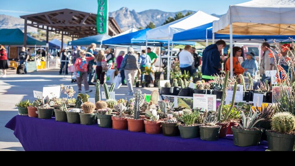 Tucson Farmers Markets Feb. 2127 Entertainment