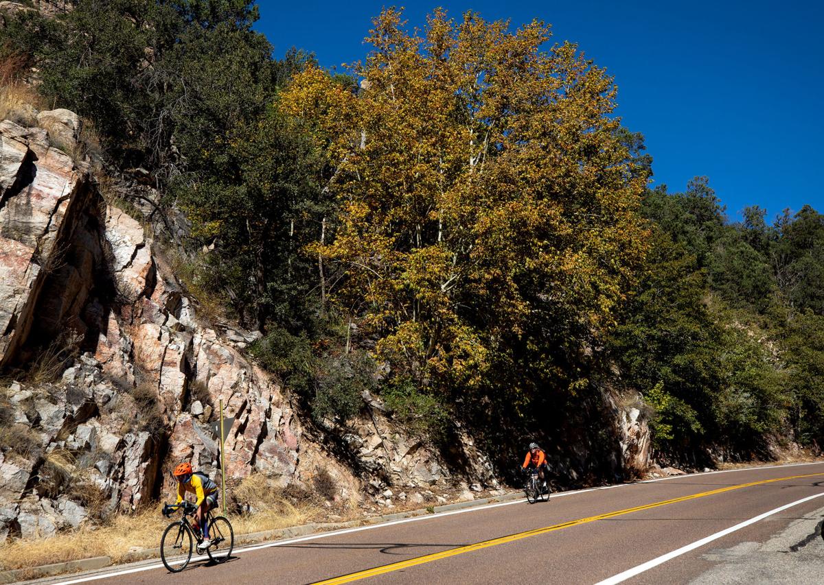 Mount Lemmon