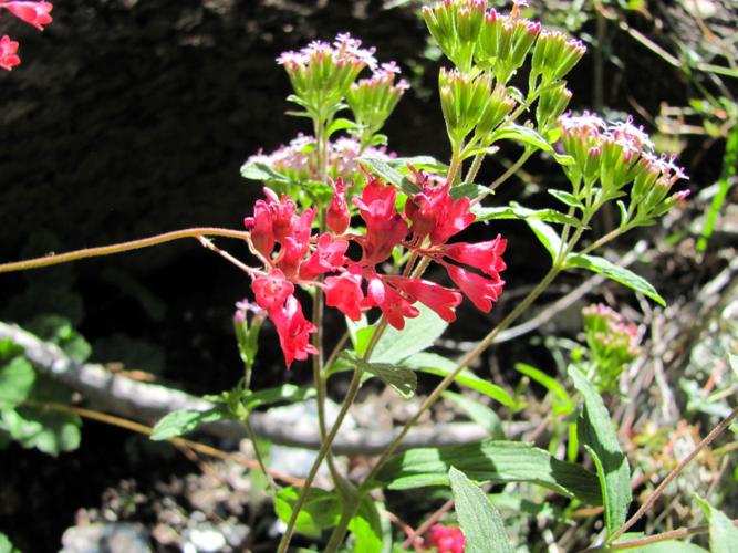 092216-cal-sunset trail-p6