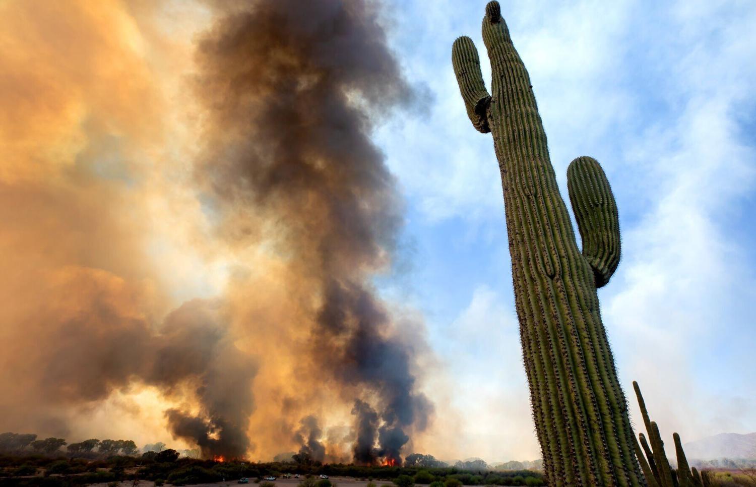 Hot, dry winds Saturday in Tucson make for high fire danger