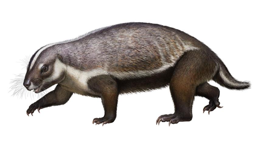 This 'crazy beast' was a weird early mammal that lived among dinosaurs