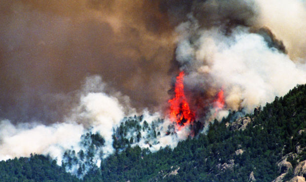 The Redington Complex Fire in 1994