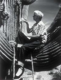 Saguaro National Park