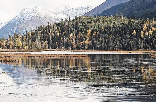 Fall colors, August to November  