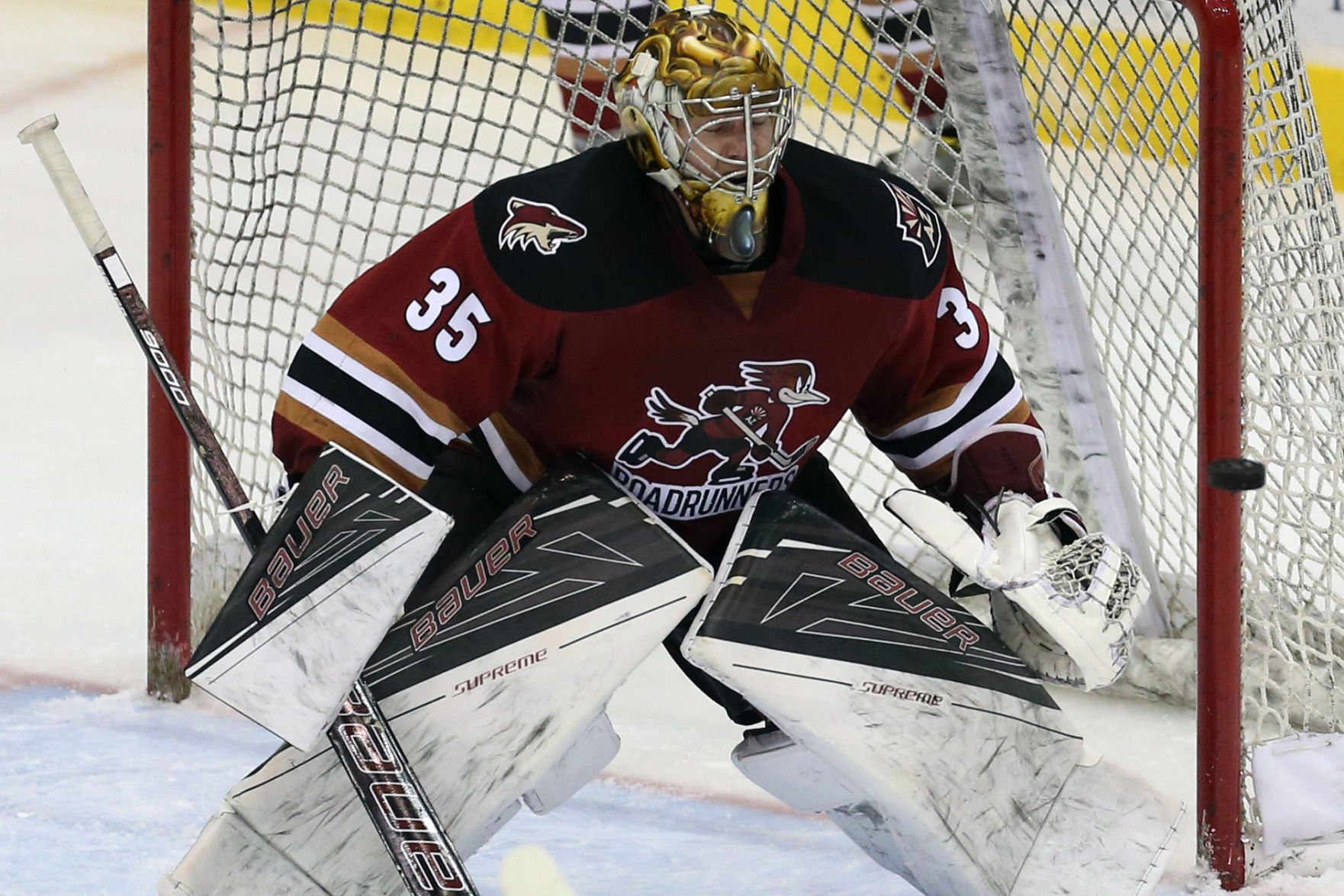 Photos: Tucson Roadrunners Vs San Diego Gulls