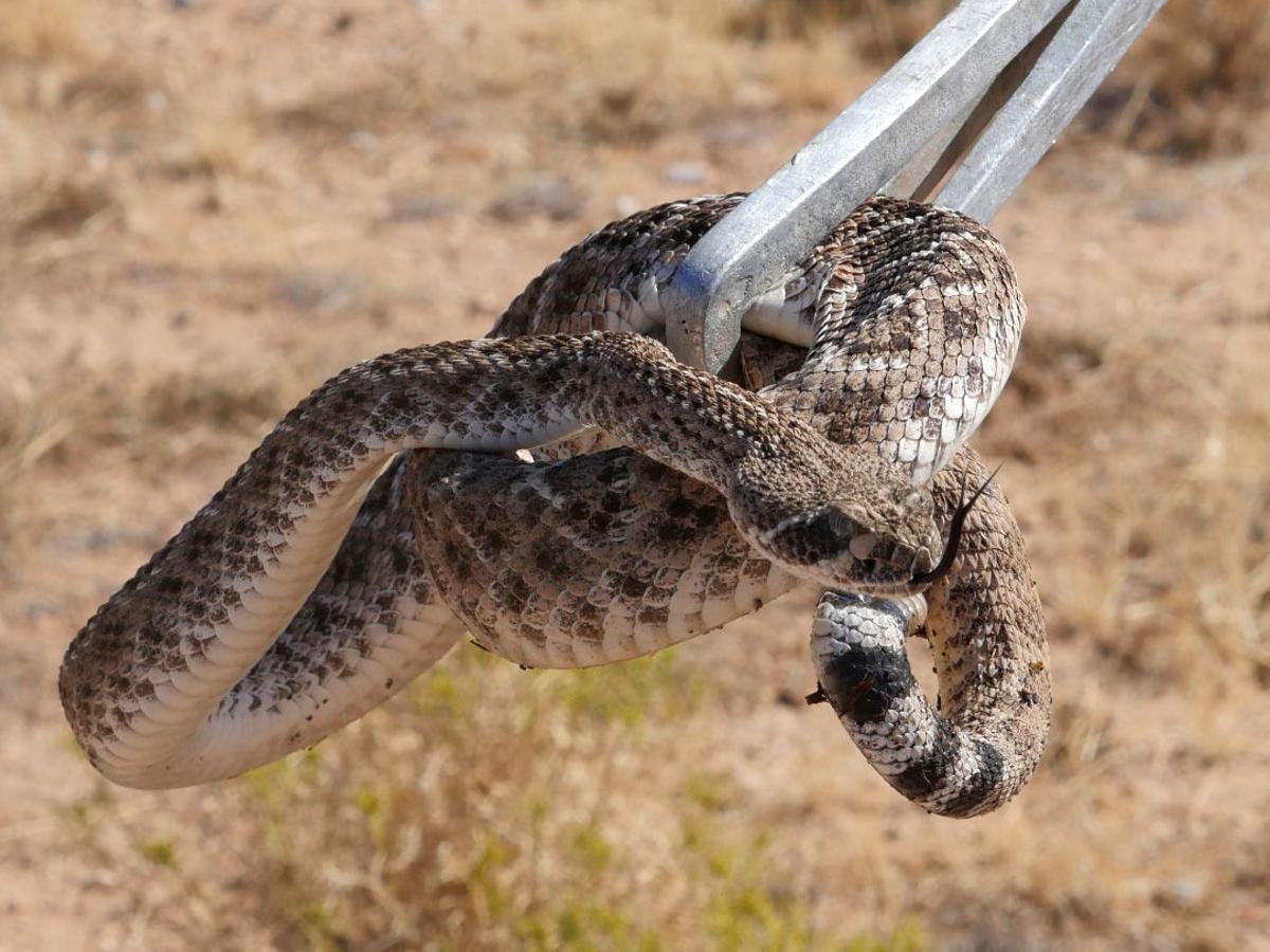 out enjoying arizona s warm weather