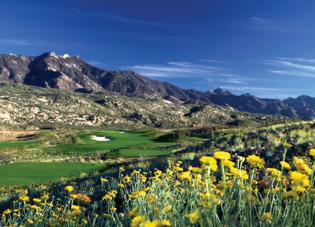 The Preserve at SaddleBrooke Golf Course