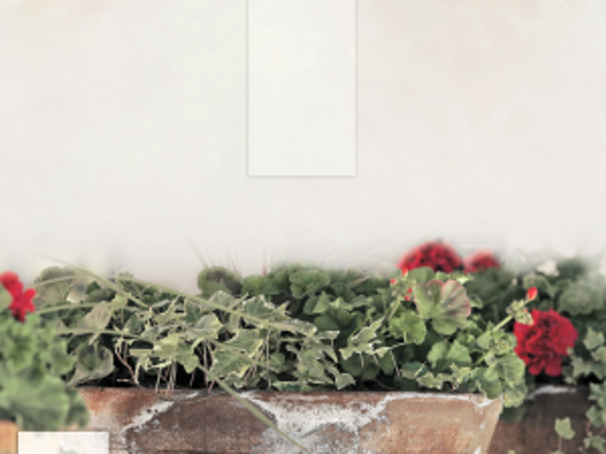 How to remove chlorine from water for plants