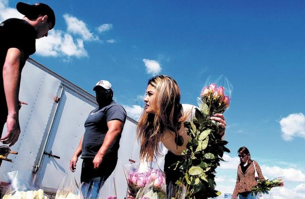 No-frills flowers provide a sweet deal in Tucson  