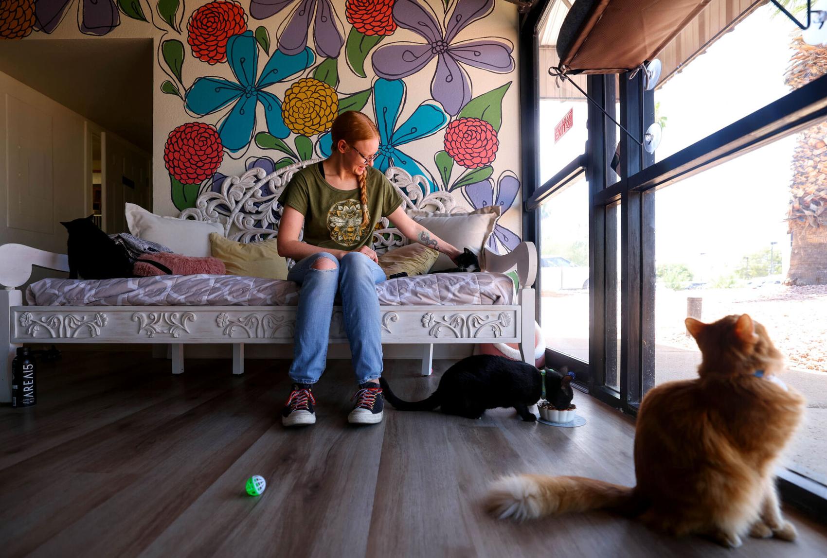 Hunter's Kitten Lounge opens in Tucson | to do | tucson.com