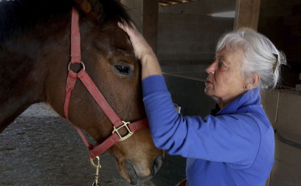 Celeste Kelly horse masseuse