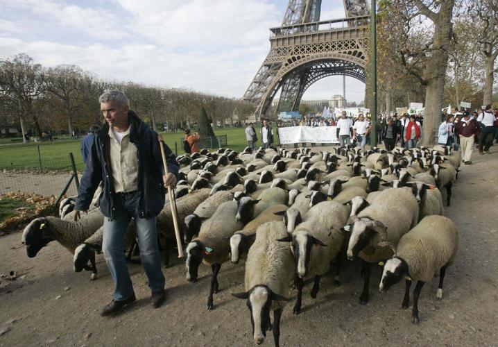 2008: Farmer protest
