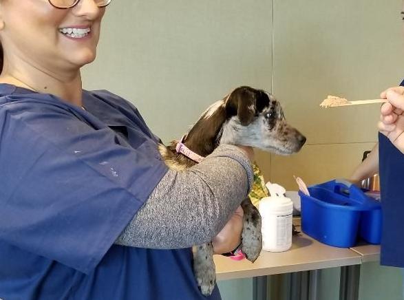 NKPC $10 Microchips Event