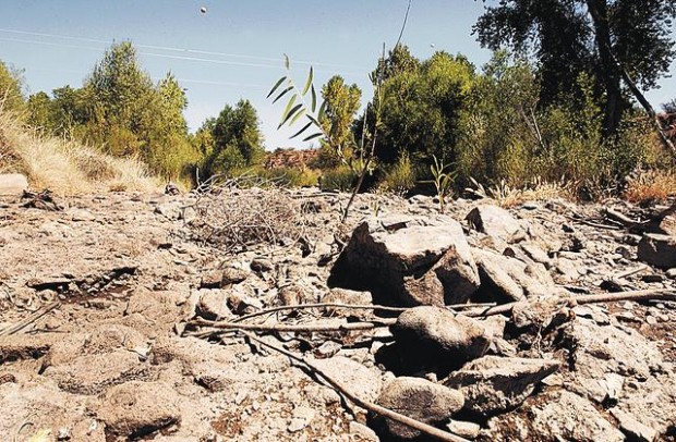 San Pedro River is running dry