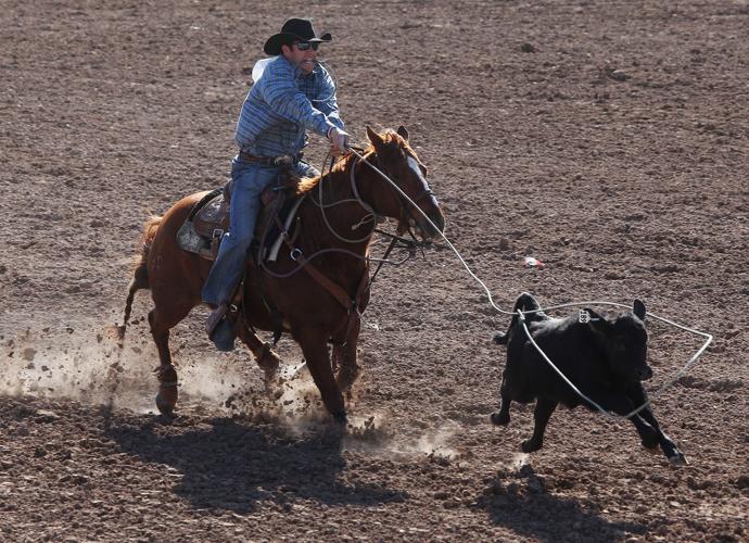 2016 La Fiesta de los Vaqueros