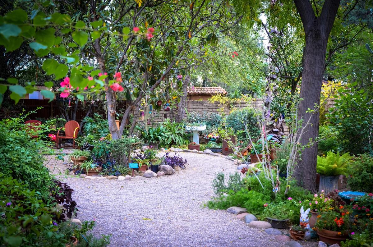 Tucson Botanical Gardens (copy)