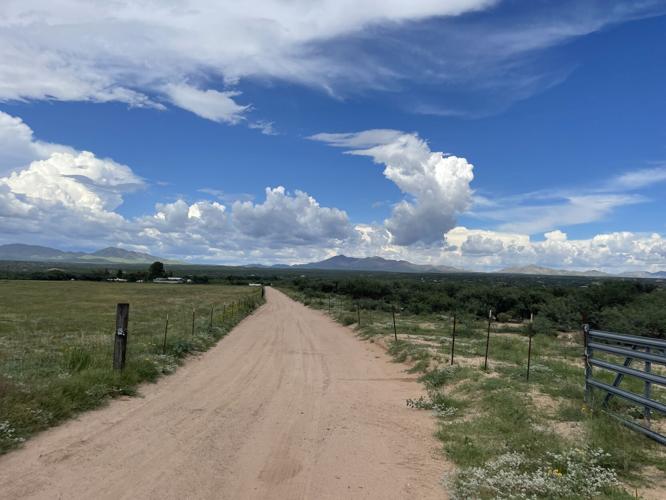 Singing Wind Bookshop (LE5)
