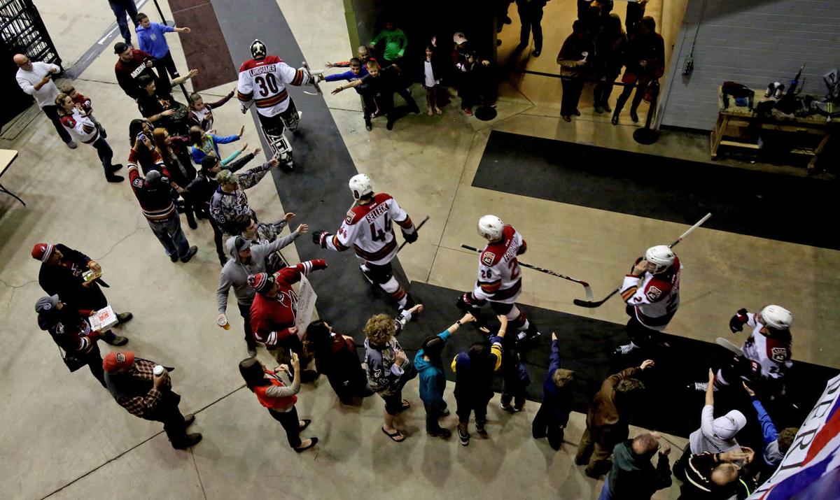 Tucson Roadrunners v Stockton Heat