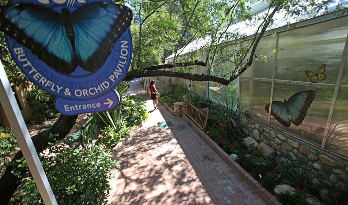 Photos Tucson Botanical Gardens 40th anniversary