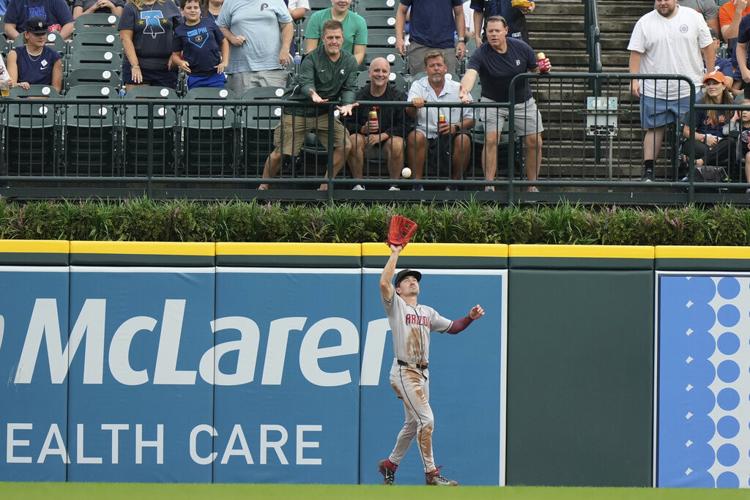 Diamondbacks Tigers Baseball
