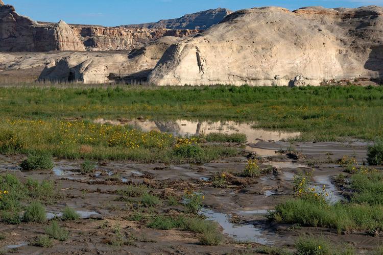 Colorado River cuts won't be as big as they seem — here's why