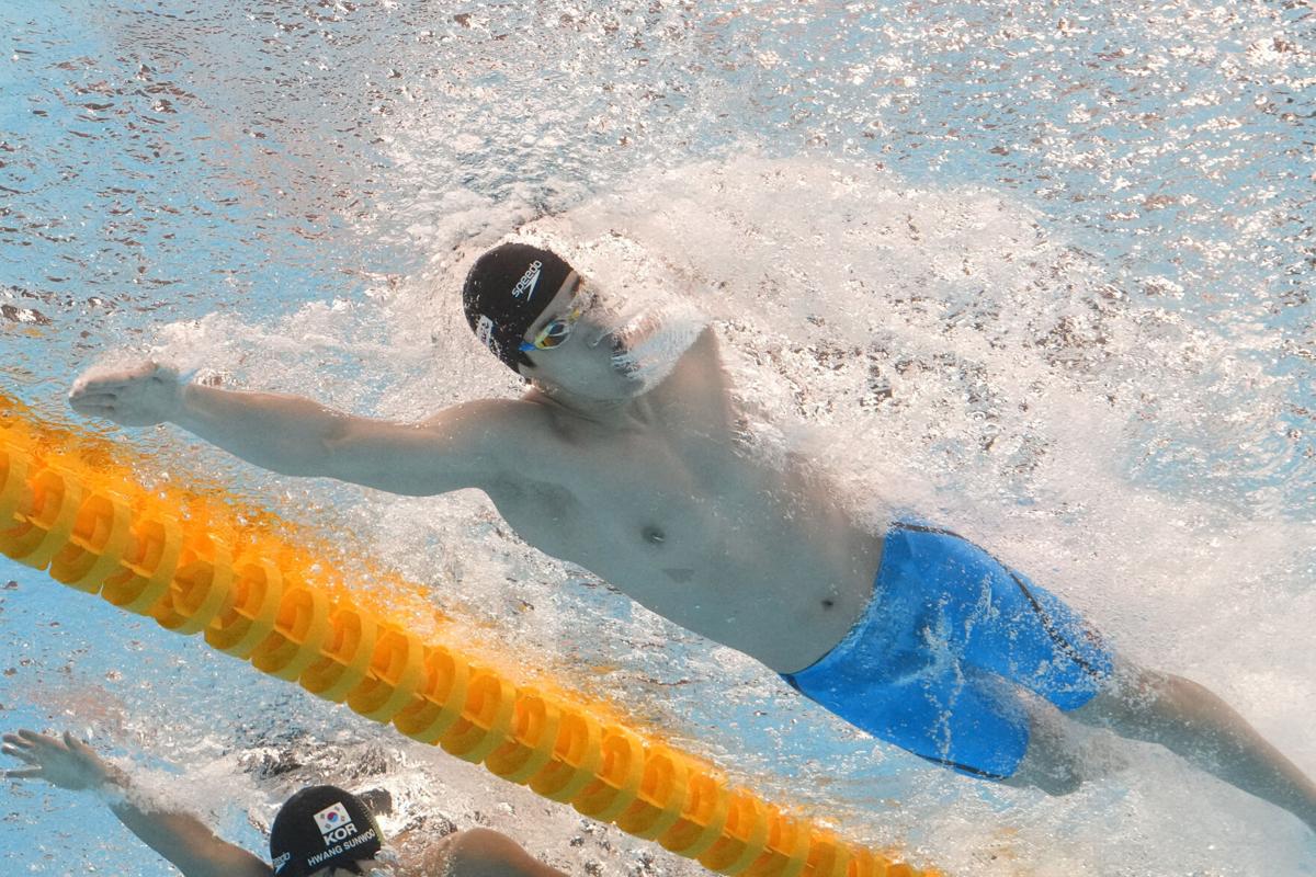 Qatar Swimming Worlds