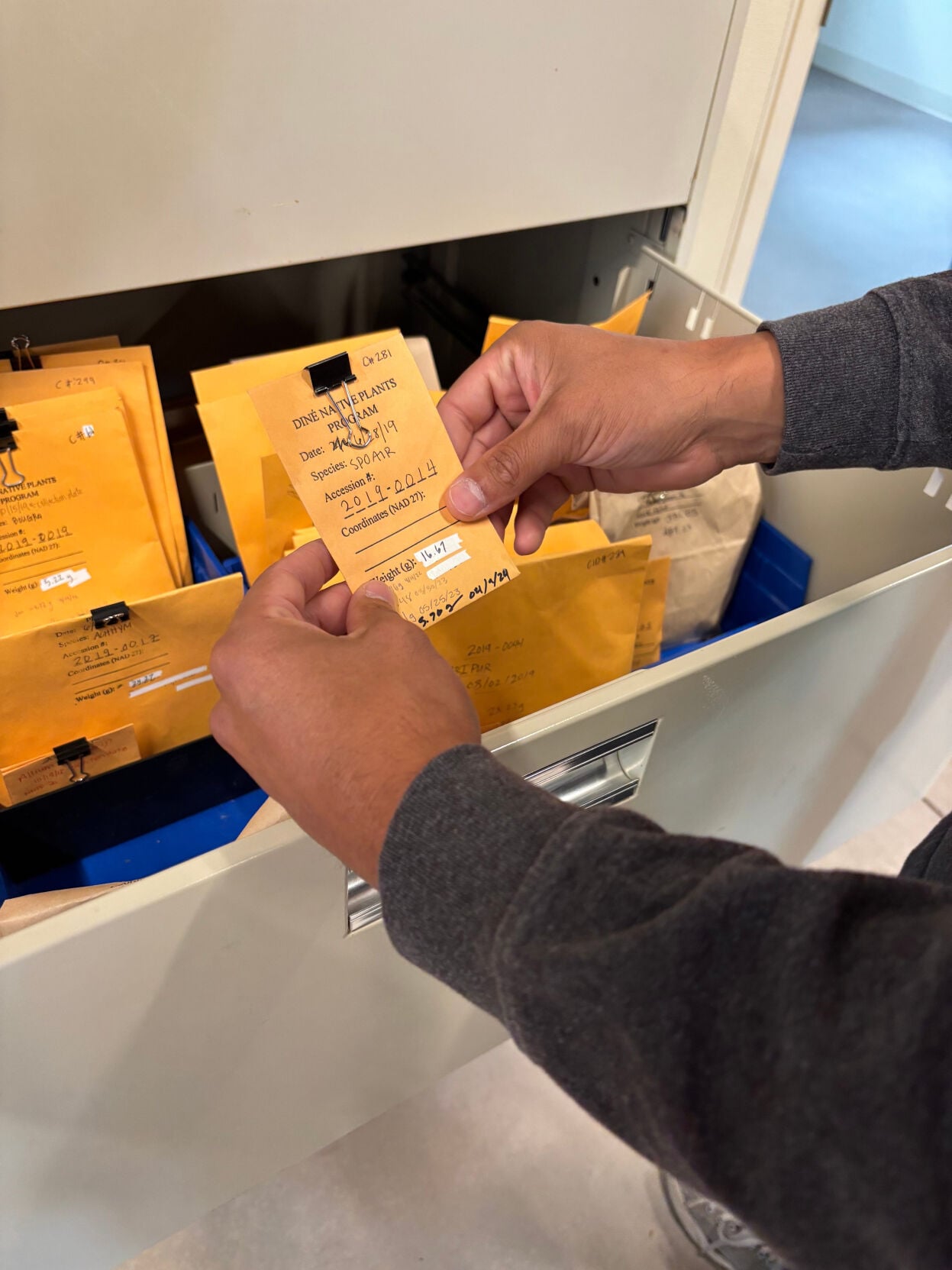 Navajo data sovereignty has its roots in a native seed bank