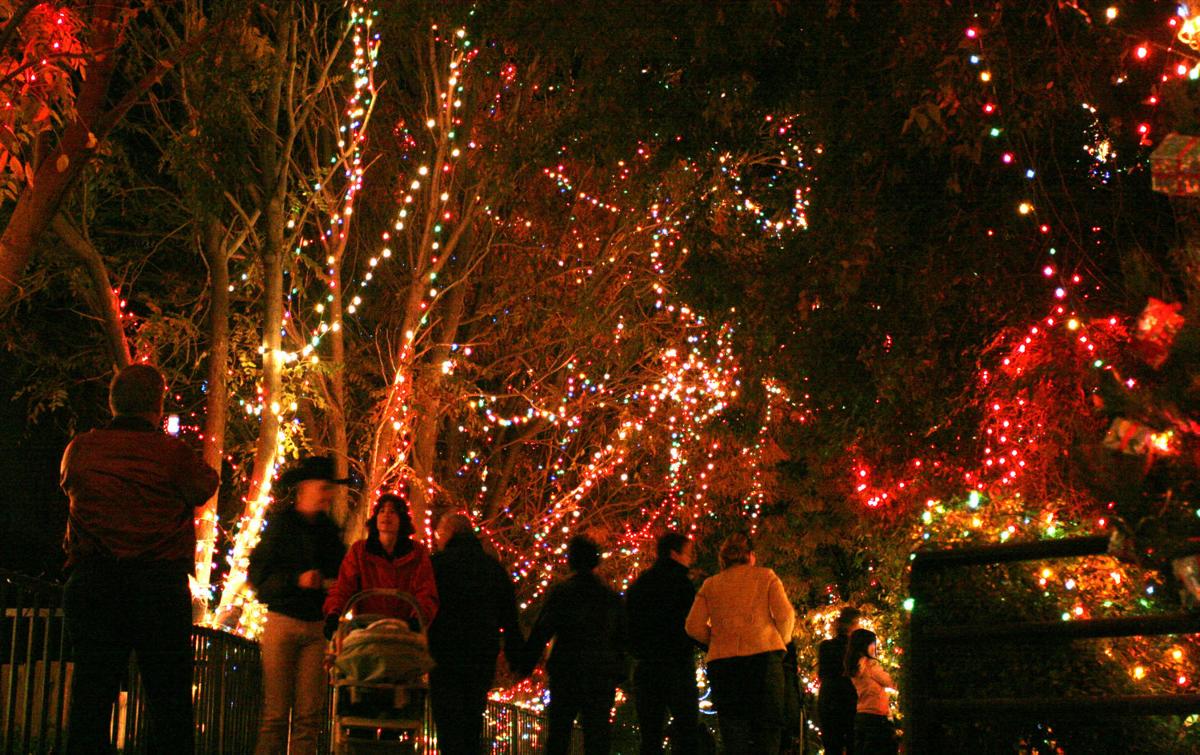 Photos Reid Park's Zoo Lights 2015 Latest News