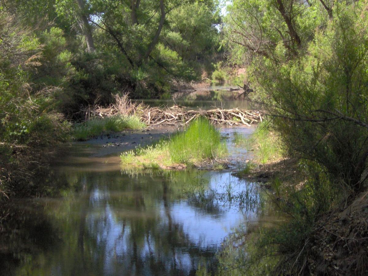 San Pedro River Walk