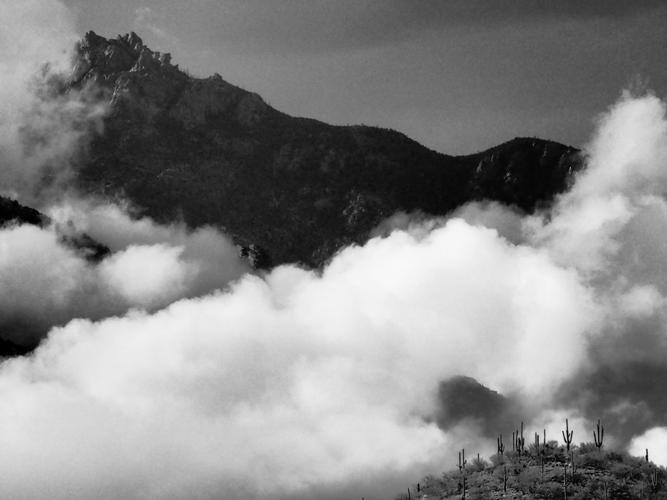 Adventures in Nature: 2016 High School Nature Photo Contest