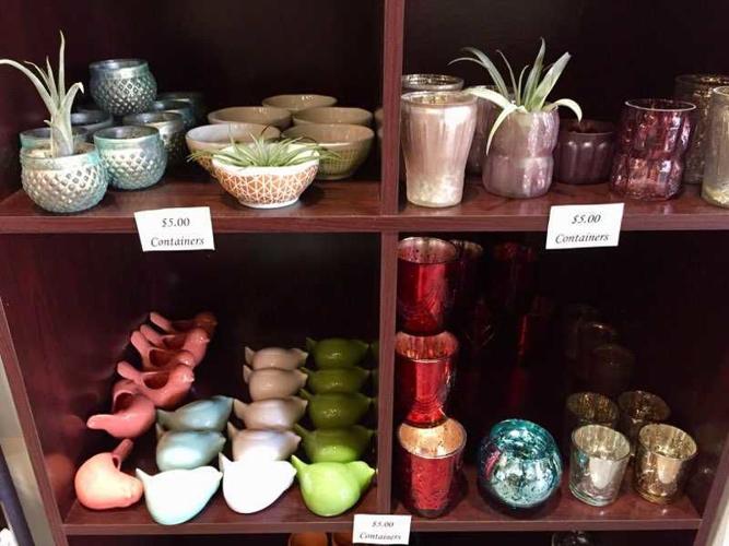Air Plant pots.jpg