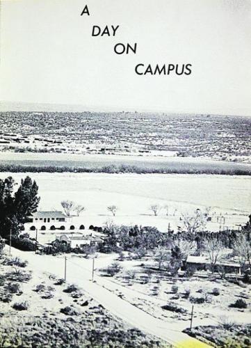 Bonnie Henry : They don't make 'em like Green Fields anymore  