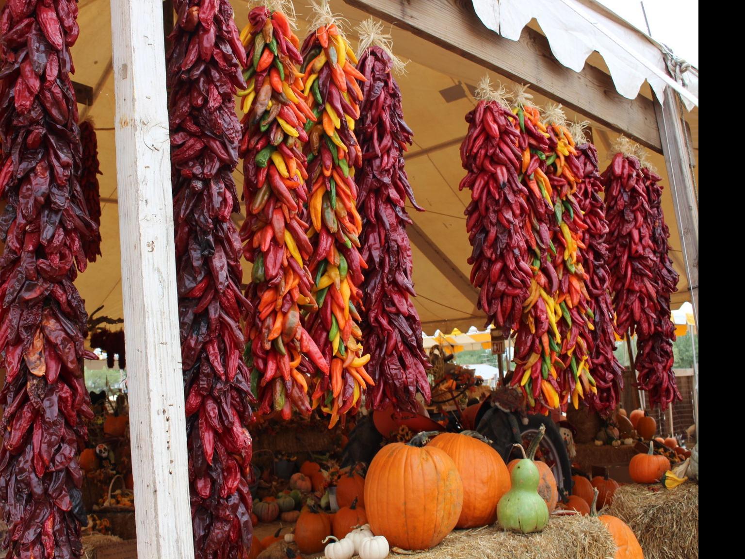Autumn In Tucson Tips On Picking A Ristra De Chiles Celebrate