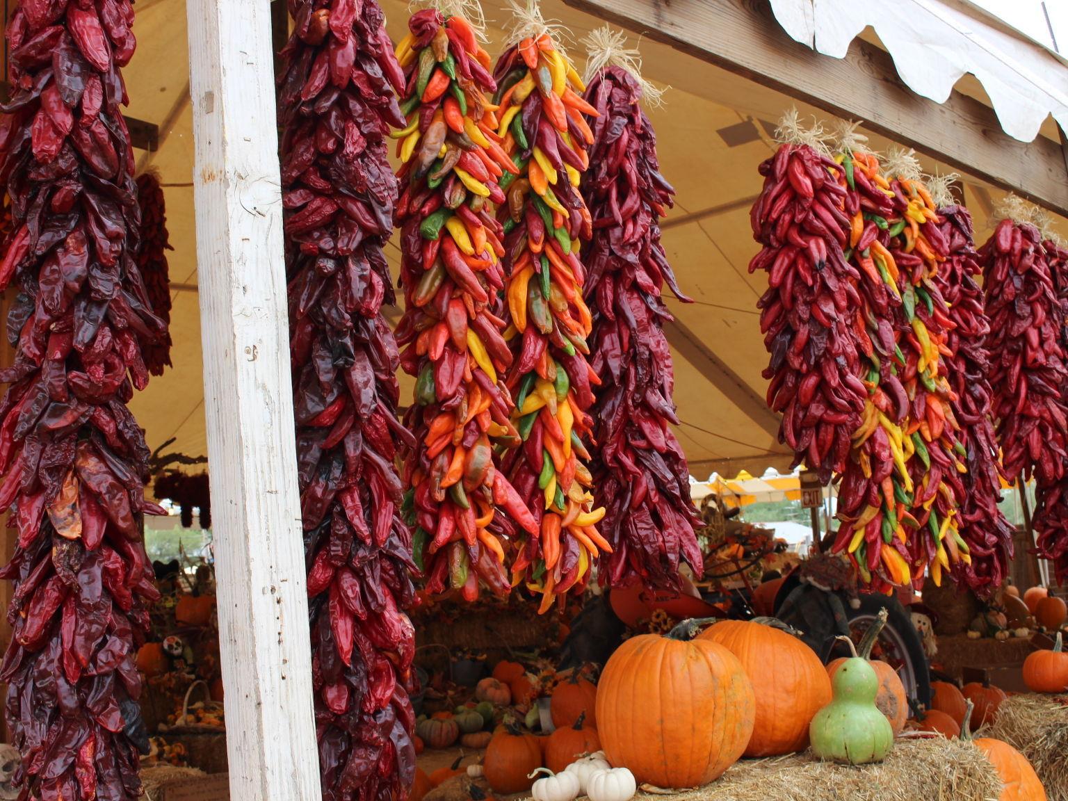 Autumn In Tucson Tips On Picking A Ristra De Chiles Celebrate