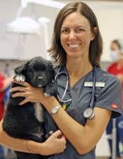 Biz awards - HSSA veterinarian, spay/neuter efforts recognized