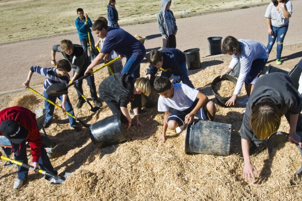 Planting trees, promoting fitness   