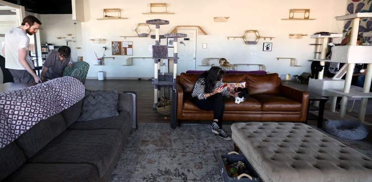 Hunter's Kitten Lounge opens in Tucson | to do | tucson.com