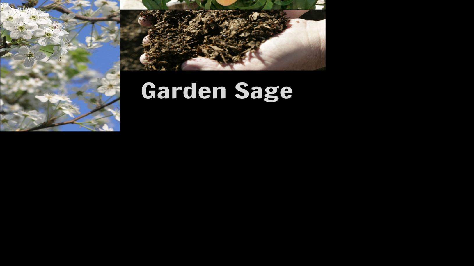 Avoiding death in compost; pear tree stinker; trimming citrus