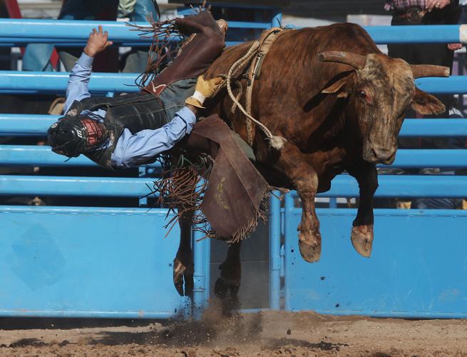 2016 La Fiesta de los Vaqueros