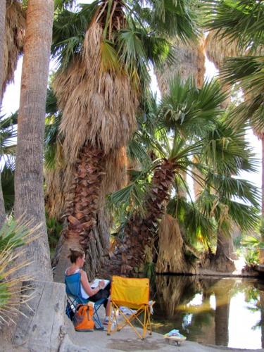 5 shady propositions to beat heat   