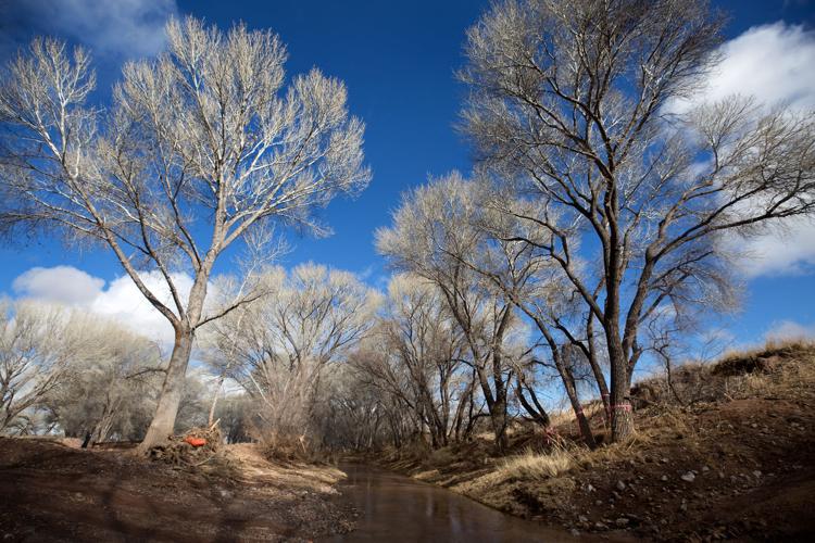 San Pedro River