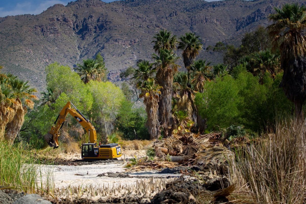 Agua Caliente Park Tucson