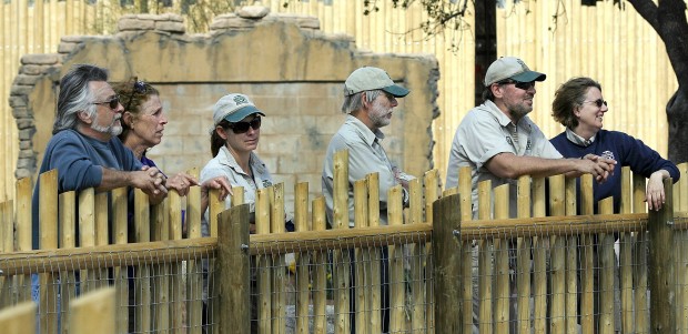 Reid Park Zoo welcomes first of new breeding herd    