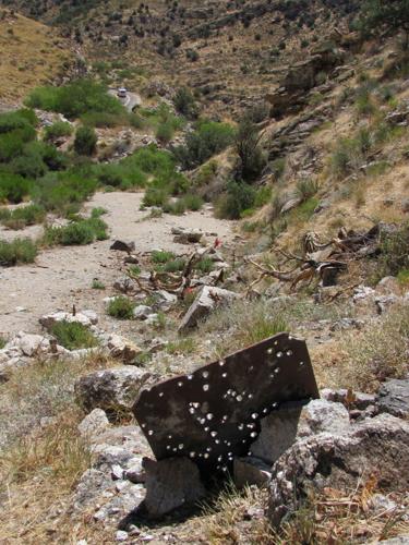 Bullet-riddled target