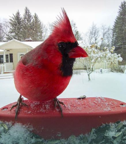 New Hampshire Daily Life