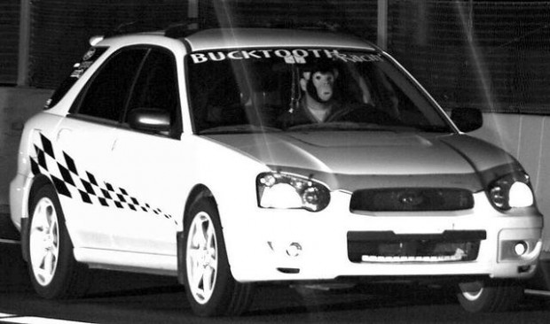 The masked speeder: Photo-radar scofflaw is a beast at the wheel  