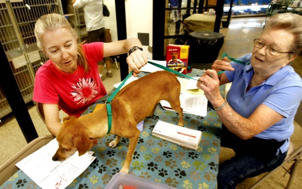 Photo gallery: Pima Animal Care Center's Off-Site Adoption ...